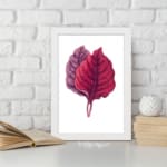 Vintage wall art featuring two overlapping leaves in red and purple on a white background with a white frame. displayed on the wall