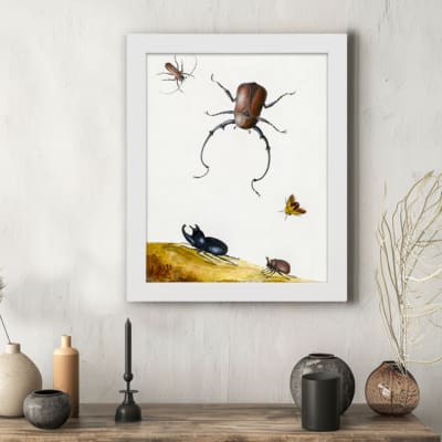 Infidu vintage wall art featuring detailed insects, including a beetle, butterfly, and smaller bugs, set against an off-white background with a touch of wild landscape. displayed on the wall art in a white frame