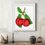 Vintage wall art featuring two red plums with green leaves on a white background. displayed on the wall