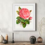 Vintage pink rose in full bloom with green leaves on a white background. displayed on the wall