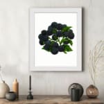 Infidu Vintage Blackberry Wall Art showing detailed dark blackberries with green leaves on a white background. displayed on the wall