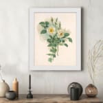 Infidu vintage wall art featuring white roses with yellow centers and green leaves on a soft beige background in a classic white frame. displayed on the wall