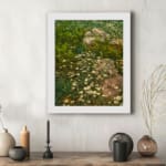Vintage wall art of white wildflowers in a green field with stones, framed in white. displayed on the wall