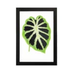 Vintage wall art featuring a bold green leaf with a dark starburst pattern on a white background. hung on the wall