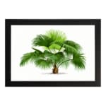 Vintage wall art with a green palm plant, detailed leaves, a white background, and a white frame for a classic and elegant look. hung on the wall