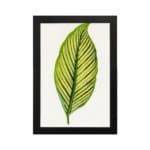 Vintage botanical wall art featuring a detailed green leaf with dark vein patterns on a white background, hung on the wall