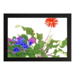 Vintage floral wall art featuring red, blue, and purple flowers with green leaves on a white background, framed in black for a classic look. hung on the wall