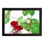 Infidu Vintage Floral Wall Art with red flowers and green leaves, framed in black for a classic look. hung on the wall