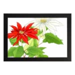 Vintage floral wall art with red and white flowers, green leaves, and a black frame on a white background. hung on the wall