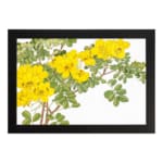 Infidu Vintage Floral Wall Art with yellow flowers, green leaves, and a black frame on a white background, adding a classic botanical touch. hung on the wall.