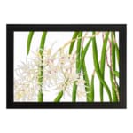 Vintage floral wall art with white orchids and green leaves, framed in black for a classic and elegant look. hung on the wall