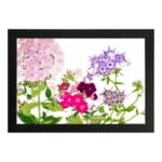 Infidu Vintage Floral Wall Art with soft pink, purple, and deep red flowers, green leaves, and a white background for a timeless, elegant look. hung on the wall on a white background