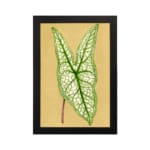 Vintage botanical wall art showing a detailed green leaf with bold veins on a soft beige background. hung on the wall