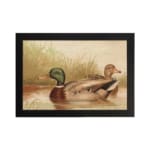 Infidu vintage wall art depicting two ducks swimming in a peaceful pond, surrounded by soft grass and gentle water waves, in calming green, brown, and beige tones. hung on the wall on a white background