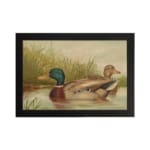 Vintage wall art of a peaceful duck pond scene with two ducks swimming, tall grass in the background, and soft earthy tones for a classic look. hung on the wall
