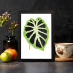 Vintage wall art featuring a bold green leaf with a dark starburst pattern on a white background. displayed on the wall in a black frame