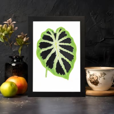 Vintage wall art featuring a bold green leaf with a dark starburst pattern on a white background. displayed on the wall in a black frame