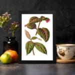 Vintage botanical wall art with green leaves and bright pink veins on a white background. displayed on the wall in a black frame