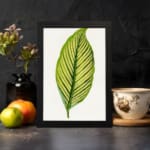 Vintage botanical wall art featuring a detailed green leaf with dark vein patterns on a white background, displayed on the wall in a black frame