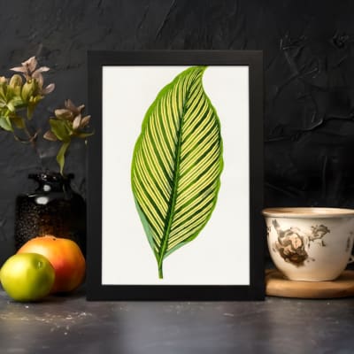 Vintage botanical wall art featuring a detailed green leaf with dark vein patterns on a white background, displayed on the wall in a black frame