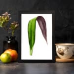 Infidu vintage wall art featuring a unique two-tone leaf with deep purple and rich green hues against a plain white background. displayed on the wall art in a black frame