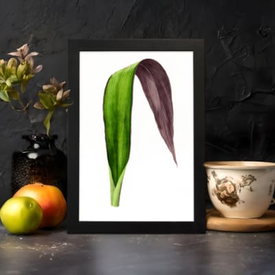 Infidu vintage wall art featuring a unique two-tone leaf with deep purple and rich green hues against a plain white background. displayed on the wall art in a black frame
