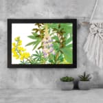 Vintage botanical wall art featuring yellow and purple flowers with green leaves on a white background, framed in black for a classic touch. displayed on the wall