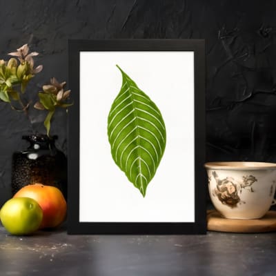 Infidu vintage wall art featuring a single bold green leaf with white veins on a white background and black frame. displayed on the wall in a black frame