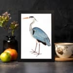 Vintage wall art of a graceful heron with blue and grey feathers on a white background, in a clean and minimalist style. displayed on the wall in a black frame