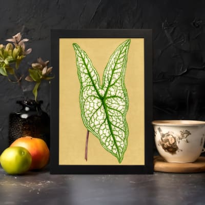 Vintage botanical wall art showing a detailed green leaf with bold veins on a soft beige background. displayed on the wall in a black frame