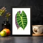 Twin leaf illustration in green and purple on white background, vintage botanical wall art displayed on the wall in a black frame