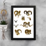 Vintage wall art with detailed ram illustrations in brown, beige, and black, set against a white background, resembling antique natural history prints. displayed on the wall