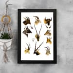Vintage antelope and deer illustration with detailed wildlife sketches in brown, beige, and black on a white background. displayed on the wall in a black frame