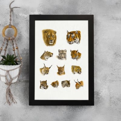 Vintage wild cat illustration featuring lions, tigers, lynxes, and more in a detailed, scientific style on a plain white background. displayed on the wall in a black frame