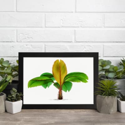 Vintage wall art of a banana plant with green and yellow leaves on a white background, framed in black for an elegant touch. displayed on the wall