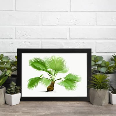 Vintage botanical wall art with a green palm plant, detailed leaves, and a brown base on a white background, framed in black for an elegant touch. displayed on the wall