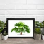 Vintage wall art with a green palm plant, detailed leaves, a white background, and a black frame for a classic and elegant look. displayed on the wall