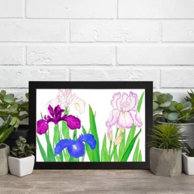 Vintage floral wall art with purple, blue, and pink flowers, green leaves, and a black frame on a white background. displayed on the wall