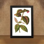 Vintage botanical wall art with green leaves and bright pink veins on a white background. displayed on the wall in a black frame
