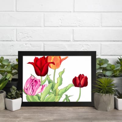 Vintage floral wall art with red, pink, and orange tulips, green leaves, and a black frame on a white background. displayed on the wall