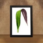 Infidu vintage wall art featuring a unique two-tone leaf with deep purple and rich green hues against a plain white background. displayed on the wall art in a black frame