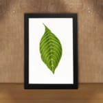 Infidu vintage wall art featuring a single bold green leaf with white veins on a white background and black frame. displayed on the wall in a black frame