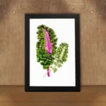 Infidu vintage wall art featuring two intricately detailed green plant leaves, one with a deep pink center, set against a clean white background. displayed on the wall art in a black frame