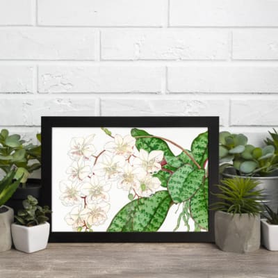 Vintage floral wall art with soft white flowers and green leaves on a white background, framed in black for a classic and elegant touch. displayed on the wall