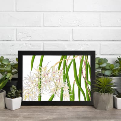 Vintage floral wall art with white orchids and green leaves, framed in black for a classic and elegant look. displayed on the wall