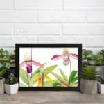 Vintage orchid wall art featuring purple, pink, and yellow flowers with green leaves on a white background. displayed on the wall in a black frame