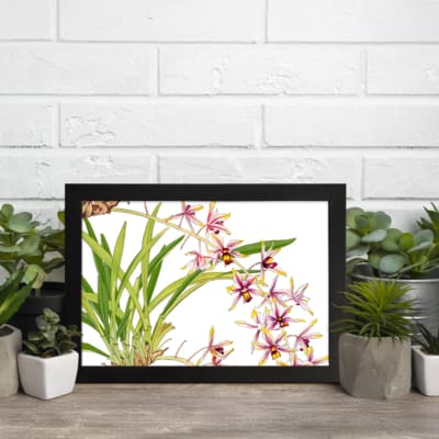 Infidu Vintage Orchid Floral Wall Art with white, pink, and purple orchids, yellow centers, and green leaves on a white background. displayed on the wall in a black frame
