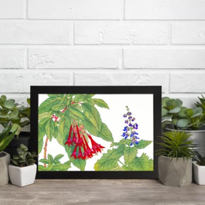 Infidu Vintage Botanical Wall Art with red and blue flowers, green leaves, and a black frame on a white background. Classic floral vintage art. displayed on the wall