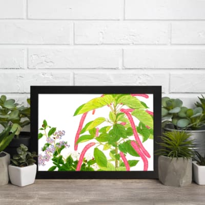 Vintage floral wall art with green leaves and hanging pink flowers on a white background, framed in black for a classic and elegant look. displayed on the wall