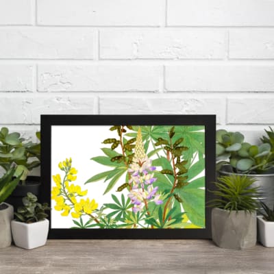 Vintage botanical wall art featuring yellow and purple flowers with green leaves on a white background, framed in black for a classic touch. displayed on the wall